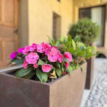 Casa Di Sant'anselmo - Il Parco *